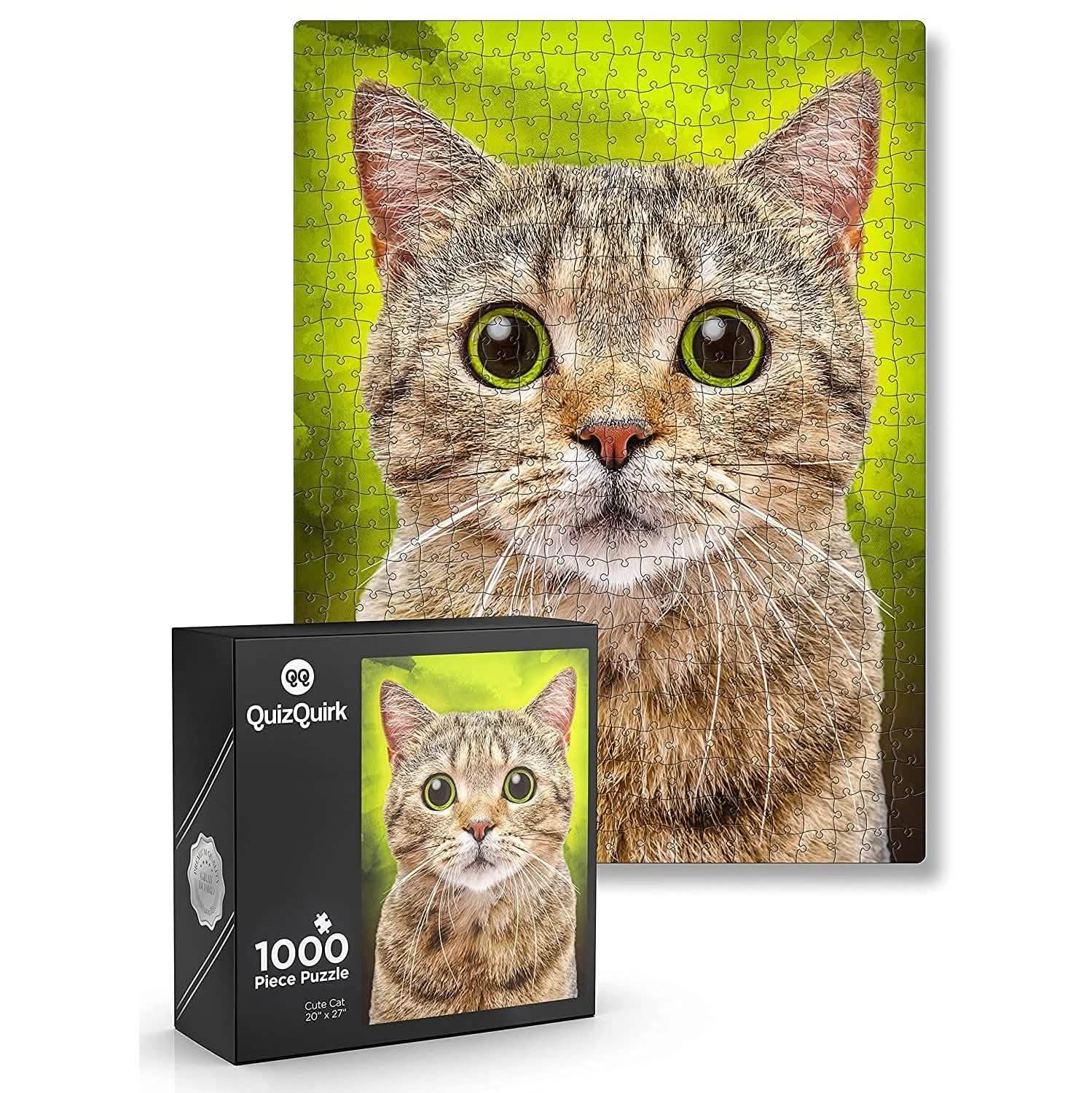 1000-Piece: Puzzle for Adults/Teens with Puzzle Saver Kit