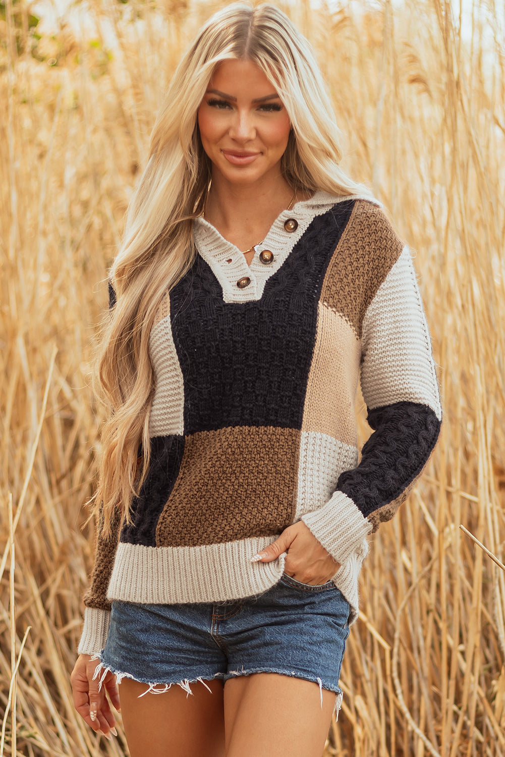 Multicolour Color Block Cable Knit Sleeve Buttons Collared Sweater