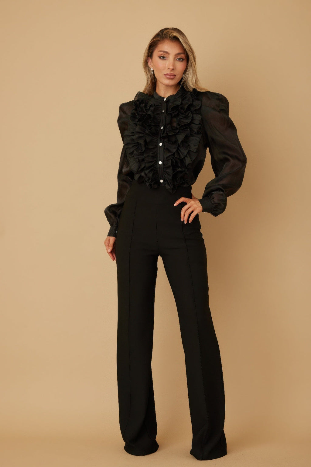 Ruffle Micro Crystal Long Sleeve Blouse