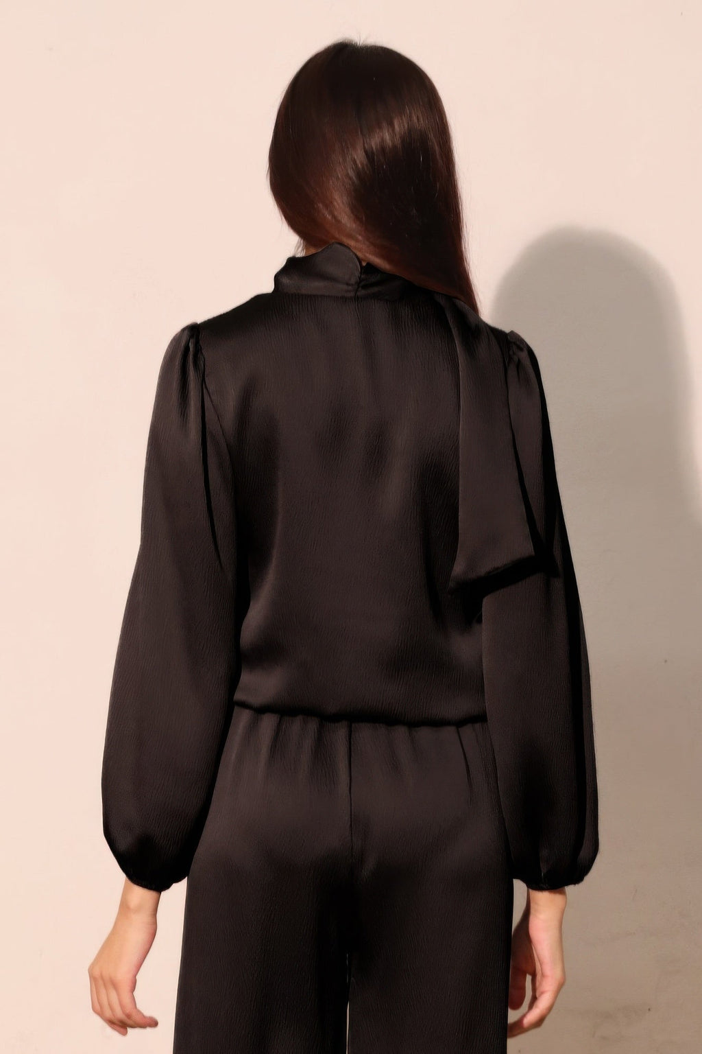 Hammered Satin Long Sleeve Crop Top