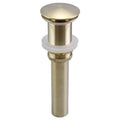 DecorBites™ Brushed Gold Pop-up Drain Assembly Kit for Bathroom Sink Vessel Vanity