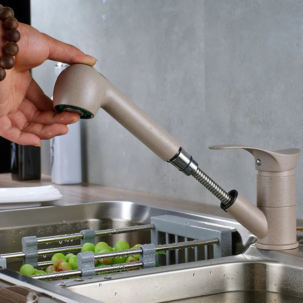 DecorBites™ Brushed Nickel Kitchen Faucet with Sprayer Steam Spout