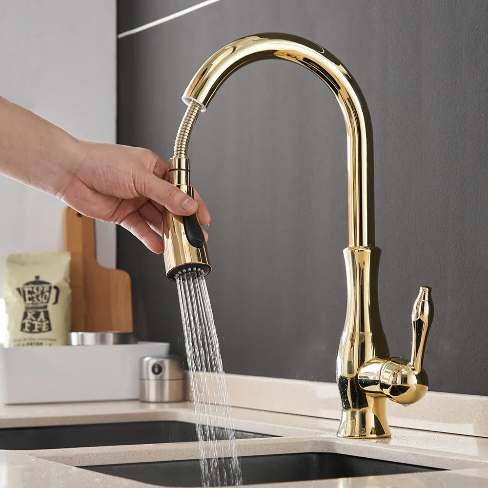 DecorBites™ Black Single Handle Pull Out Kitchen Faucet - Swivel 360° Water Mixer Tap
