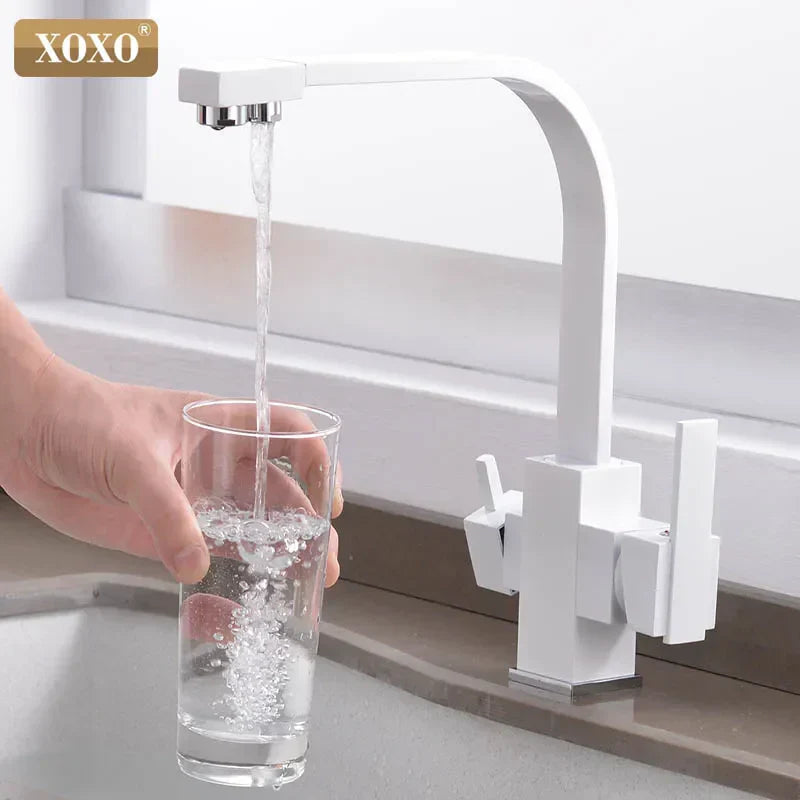DecorBites™ Black Single Hole Kitchen Faucet Mixer Tap for Drinking Water