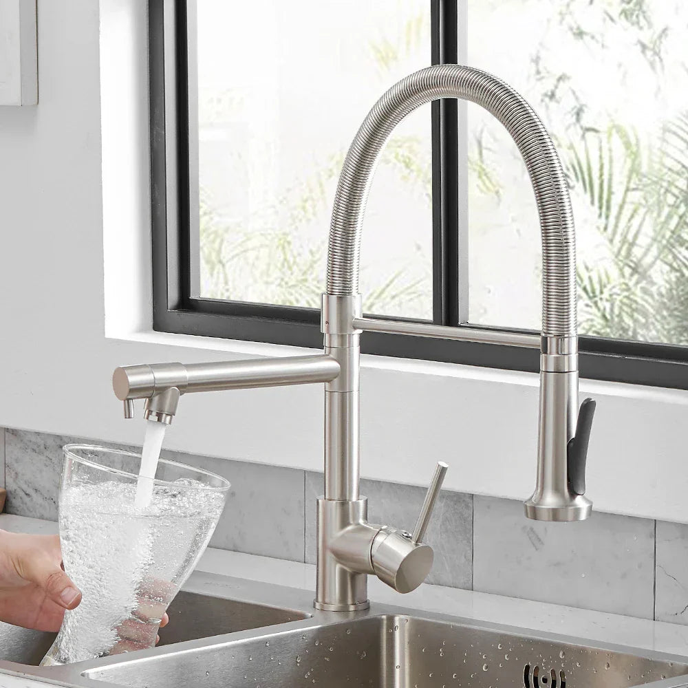 DecorBites™ Black Spring Kitchen Faucet with Sprayer and Brushed Nickel Finish