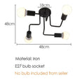 DecorBites™ Black Iron Kitchen Ceiling Lamp for Living Room, Bedroom, and Dining Room