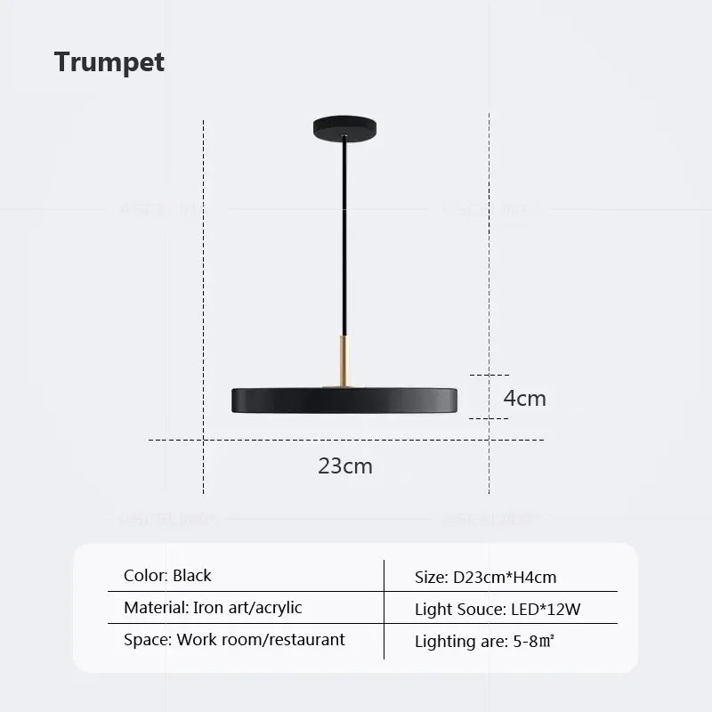 DecorBites™ LED Pendant Light: Iron, Black, White, Blue, Dining, Bedroom, Living, Study, Indoor.
