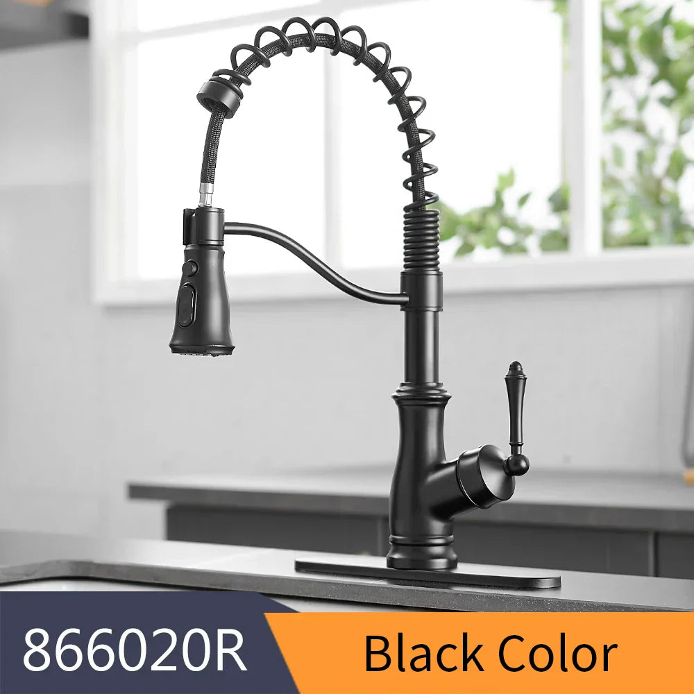 DecorBites™ Black Spring Spout Kitchen Faucet Single Lever Pull Out Mixer Tap