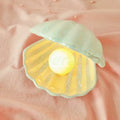 DecorBites™ Ceramic Shell LED Night Light for Bedroom and Living Room