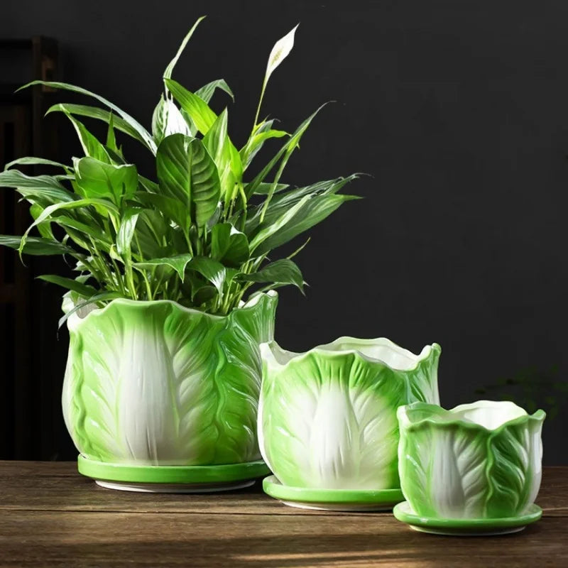 DecorBites™ Cabbage Flowerpot with Tray | Creative Cartoon Vegetable Basin | Indoor Garden Flower Vase