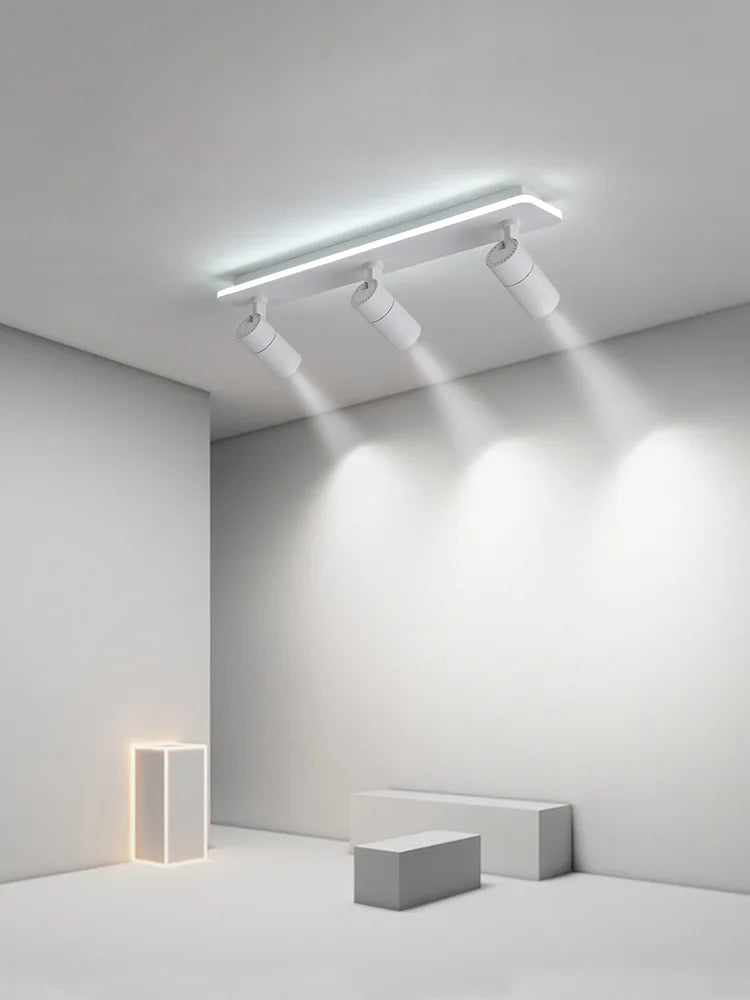 DecorBites™ LED Ceiling Lamp Spotlights for Living Room Bedroom Dining Indoor Lighting
