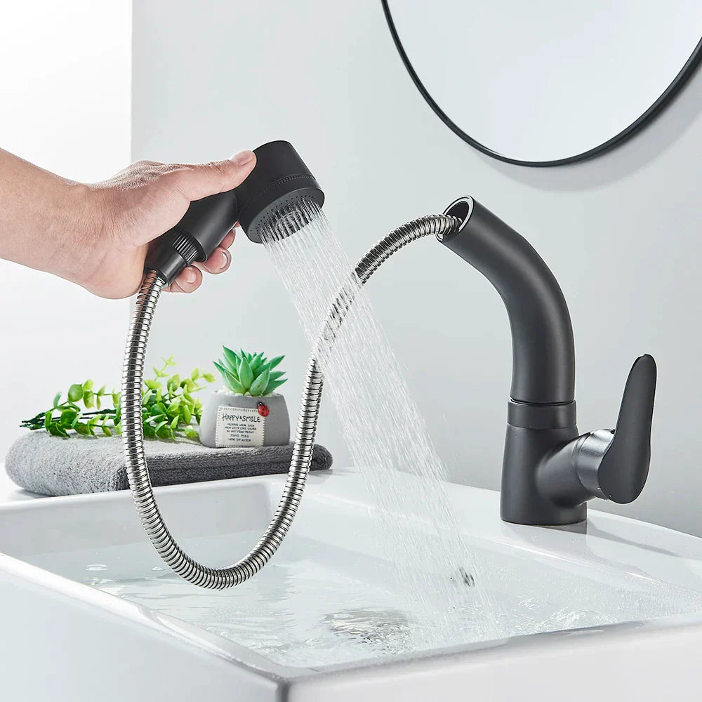 DecorBites™ Black Basin Faucet: Pull Out Sink Mixer Tap with 360° Rotation and Hot&Cold Sprayer