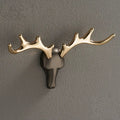 DecorBites™ Brass Wall Mount Robe Hooks for Bathroom and Door - Towel, Hat, Coat Holder