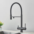 DecorBites™ Black Kitchen Faucet with Pull Down Sprayer and 2-in-1 Purification Technology