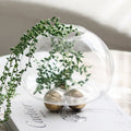 DecorBites™ Geometric Golden Ball Glass Vase for Floral Arrangements and Home Decor