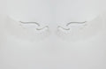 DecorBites™ Angel Wings RGB LED Wall Lamp for Living Room Bedroom Restaurant Bar