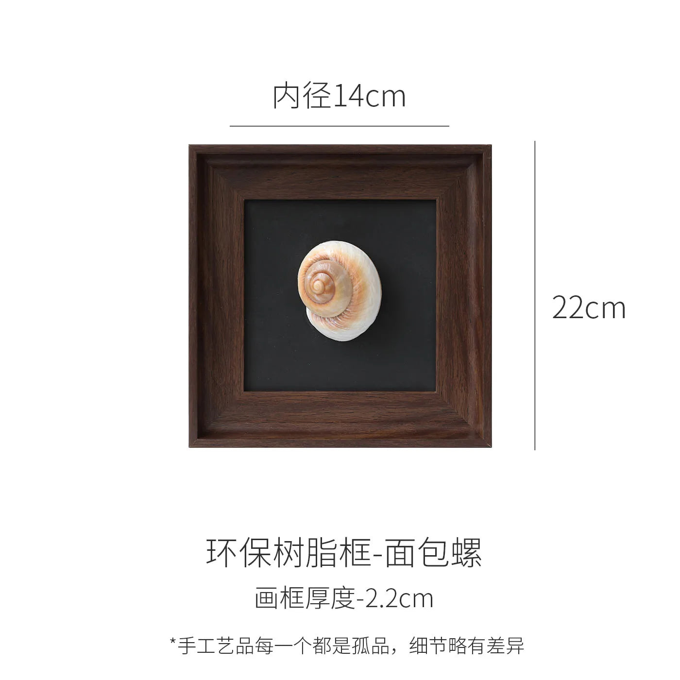 DecorBites™ Conch Shell Decorative Painting Frame Pendant Wall Ornaments