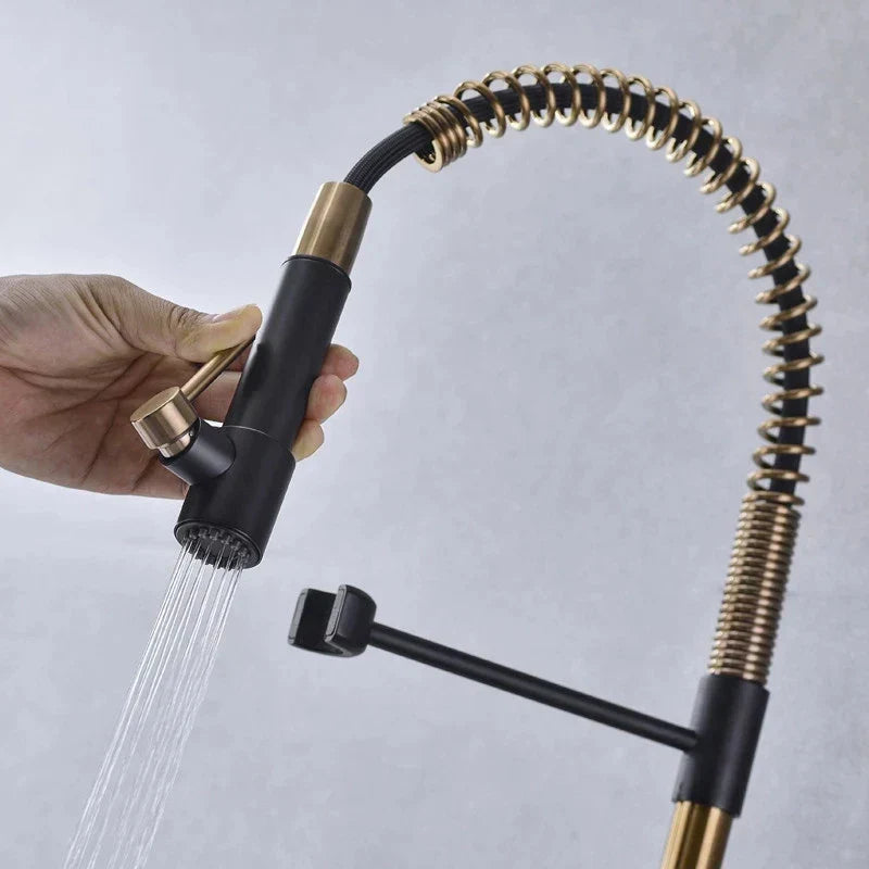 DecorBites™ Brushed Gold Kitchen Faucet with Pull Down Black Spring Spout - Hot Cold Mixer