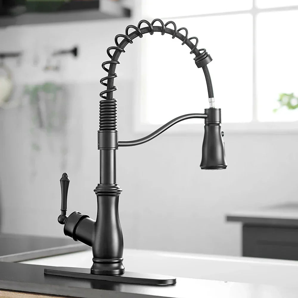 DecorBites™ Black Spring Spout Kitchen Faucet Single Lever Pull Out Mixer Tap