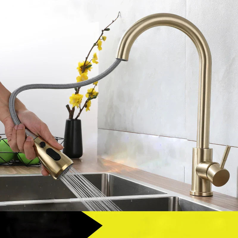 DecorBites™ Brushed Gold Single Handle Pull Out Kitchen Faucet