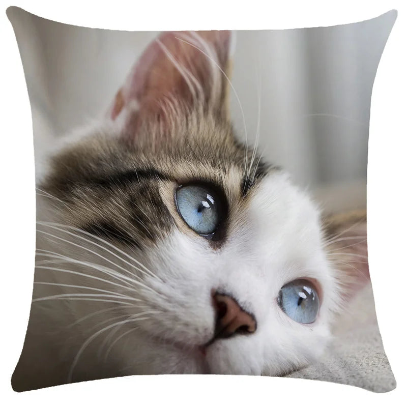 DecorBites™ Bubble Black Cats Cat Pillow Cases Sofa Home Decor Custom Cushion Cover