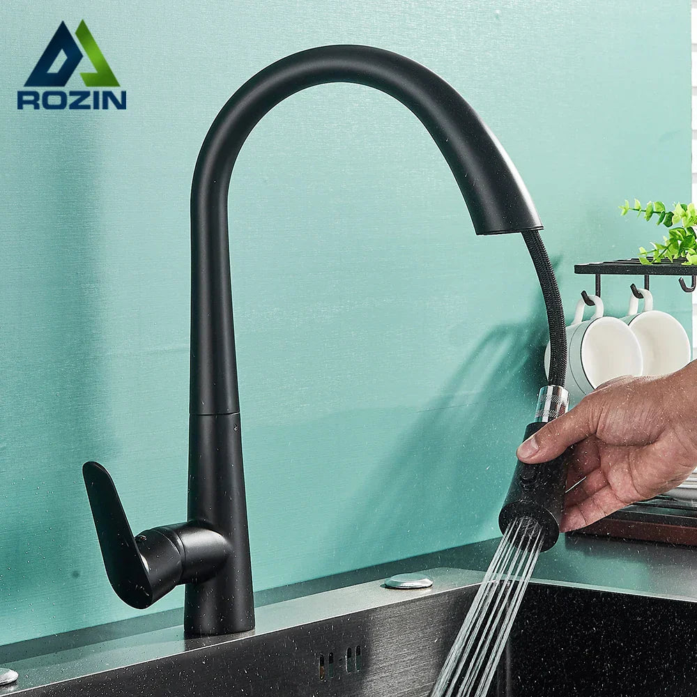 DecorBites™ Black Kitchen Faucet with Pull Out Sprayer and Single Lever Control