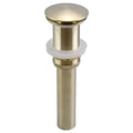 DecorBites™ Brass Round Siphon P-Trap Set with Pop-Up Drainer Gun Grey