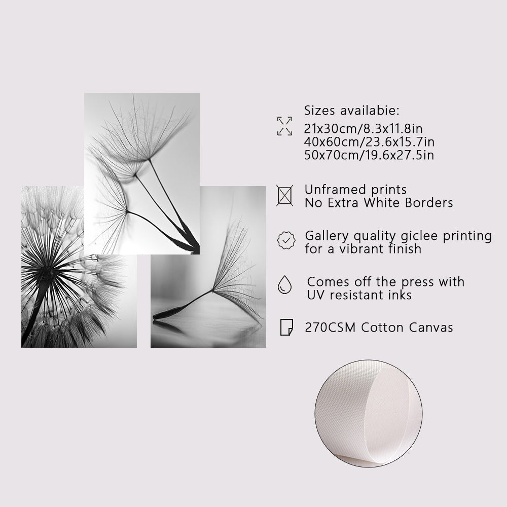 DecorBites™ Black and White Dandelion Canvas Wall Art