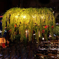 DecorBites™ Black Retro Metal Bird Cage Island Ceiling Light with Plant - Ideal for Restaurants - 4 Lights