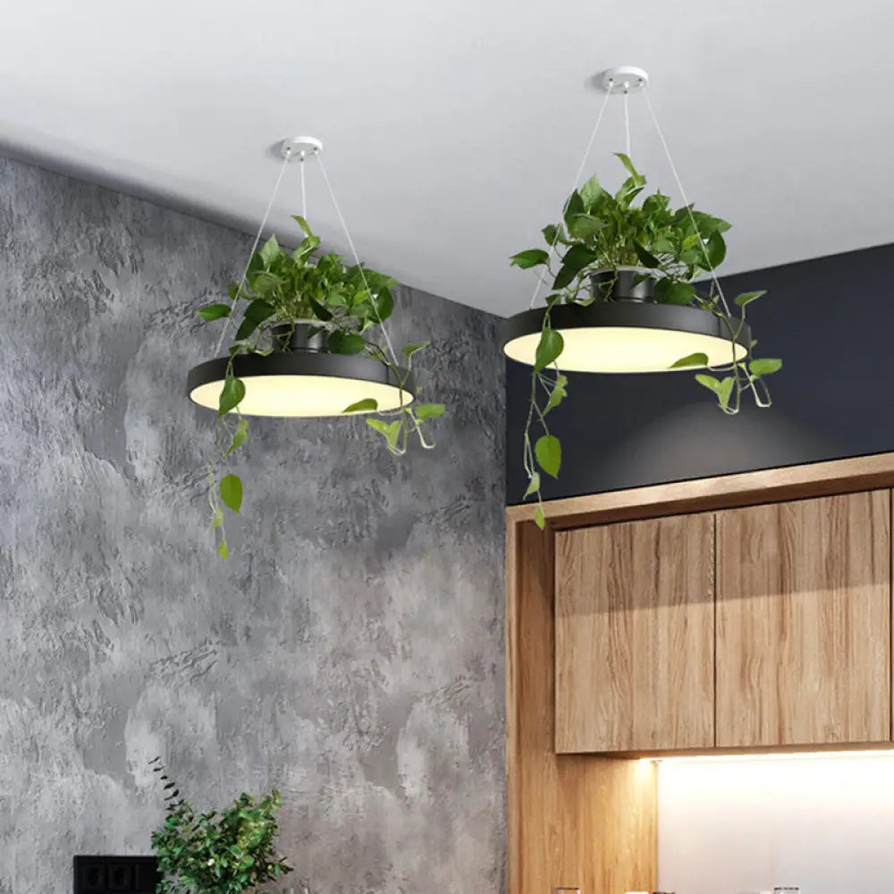 DecorBites™ Brooklyn - Round Macaron Round Hanging Light Acrylic LED Pendant Lighting Fixture in Black/Grey/White with Top Plant Pot