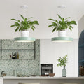 DecorBites™ Brooklyn - Round Macaron Round Hanging Light Acrylic LED Pendant Lighting Fixture in Black/Grey/White with Top Plant Pot