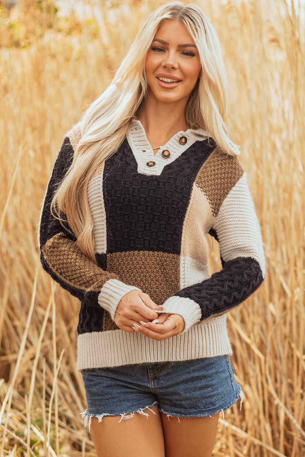 Multicolour Color Block Cable Knit Sleeve Buttons Collared Sweater