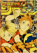 DecorBites™ Anime Poster Collection: Chainsaw Man, Attack on Titan, Haikyuu