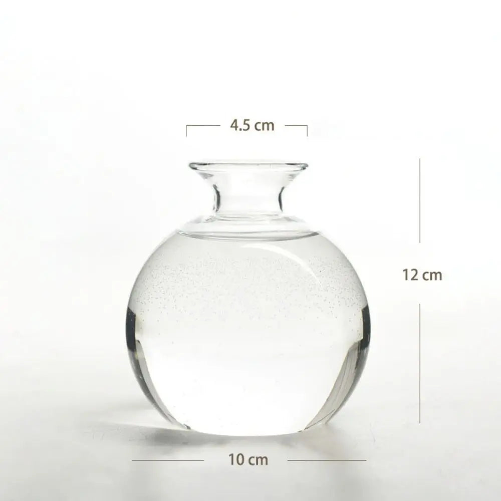 DecorBites™ Avocado Seed Starter Hydroponic Vase