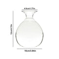 DecorBites™ Glass Avocado Seed Starter Vase Kit