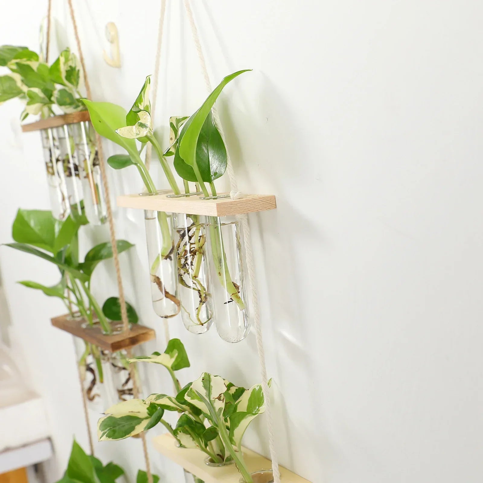 DecorBites™ Glass Wall Hanging Planters with Wooden Holder