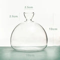 DecorBites™ Hydroponic Avocado Starter Kit - Gift-ready