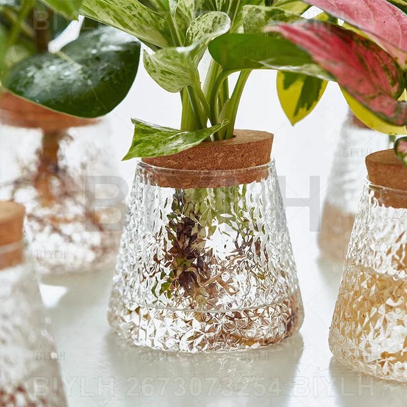 DecorBites™ Hydroponic Glass Flower Pots - Set of 2