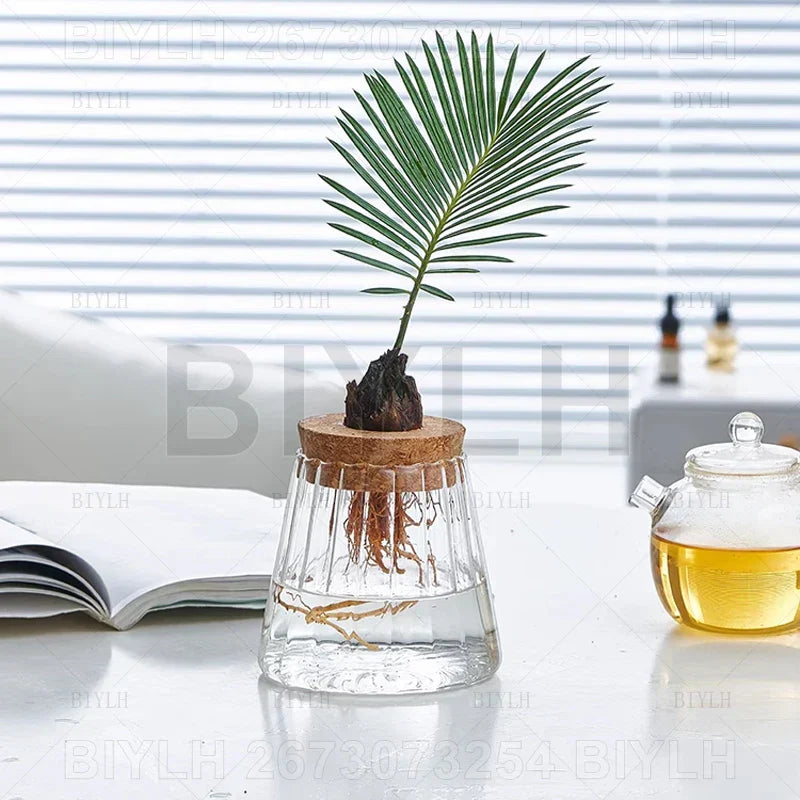 DecorBites™ Hydroponic Glass Flower Pots - Set of 2