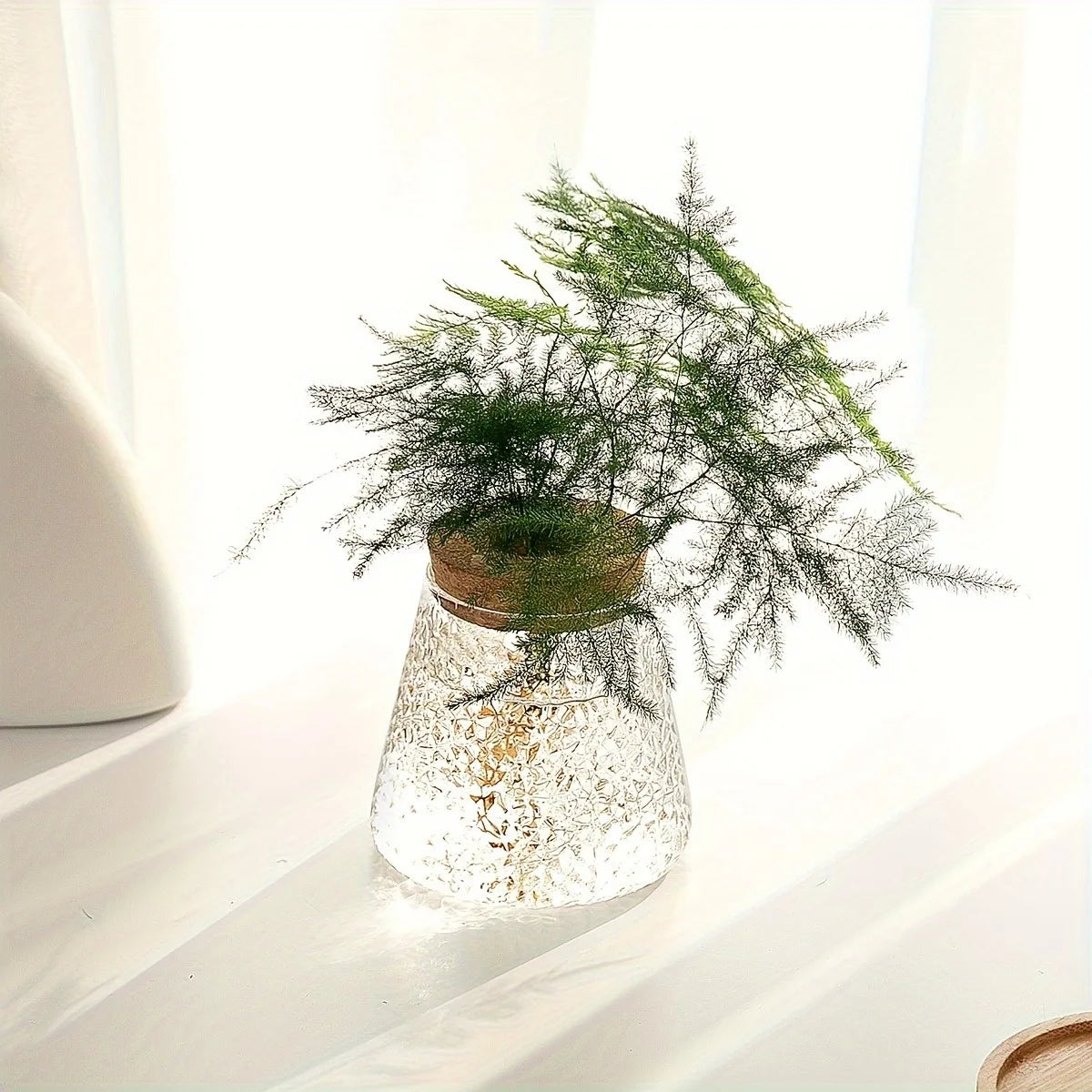 DecorBites™ Mini Nordic Glass Hydroponic Planter Tray