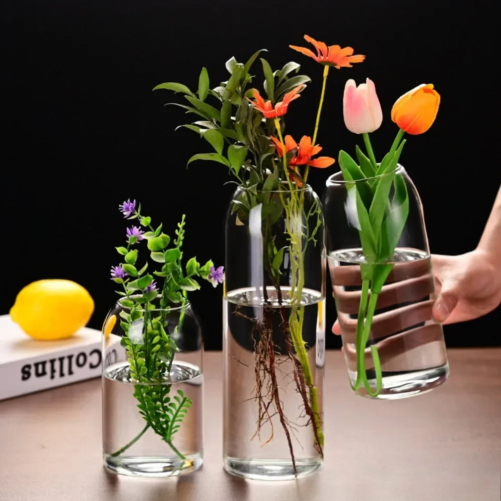 DecorBites™ Modern Hydroponic Glass Flower Vase for Home & Wedding