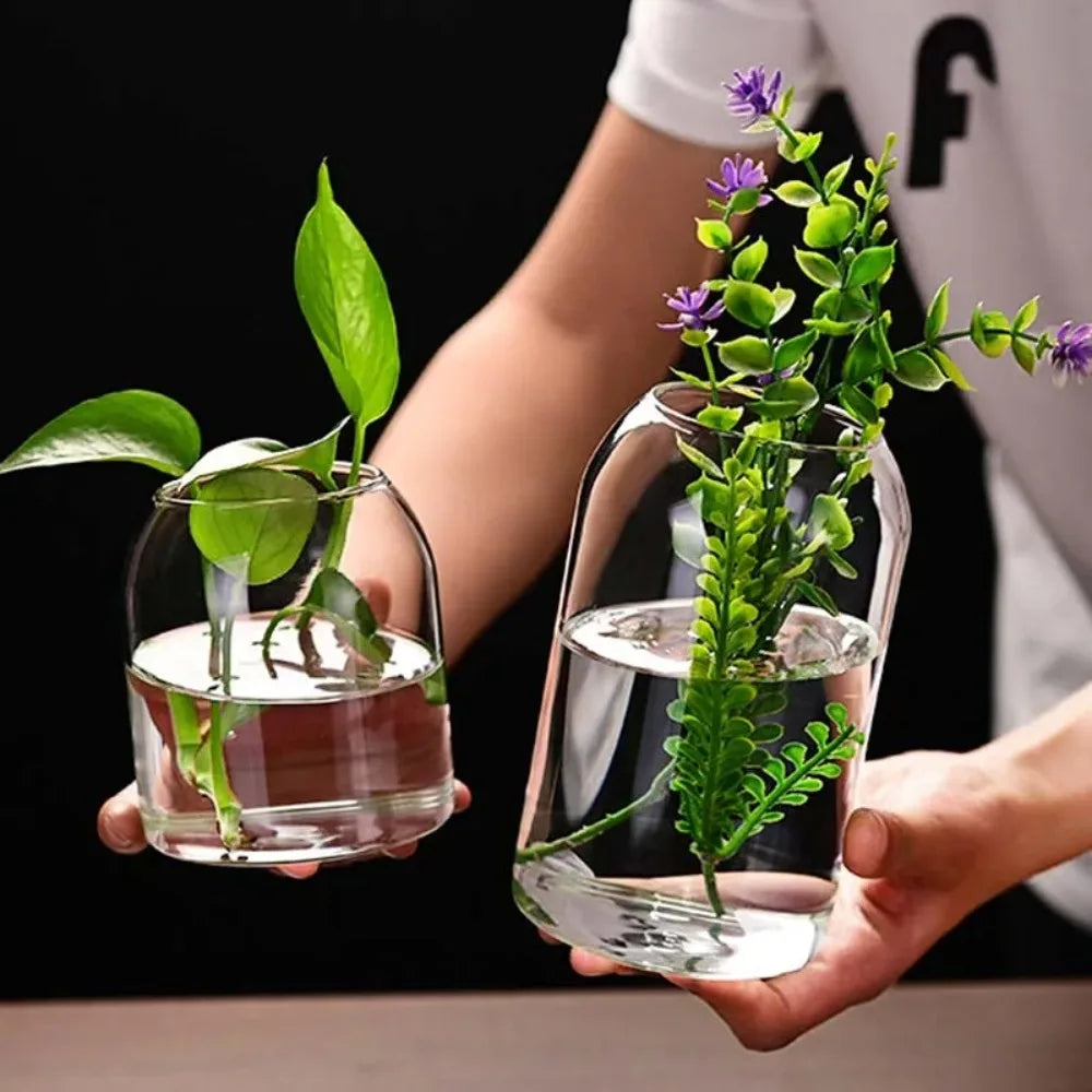 DecorBites™ Modern Hydroponic Glass Flower Vase for Home & Wedding