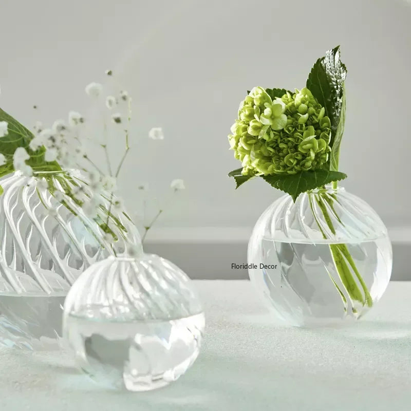 DecorBites™ Modern Transparent Glass Vases Set for Home
