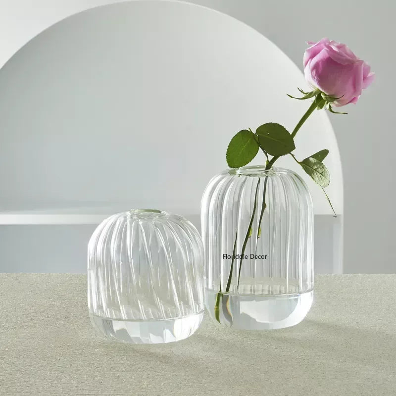 DecorBites™ Modern Transparent Glass Vases Set for Home