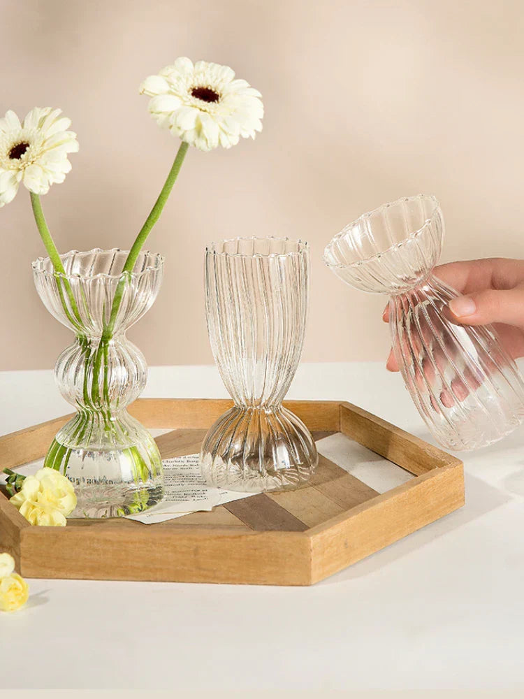 DecorBites™ Modern Transparent Glass Vases Set for Home