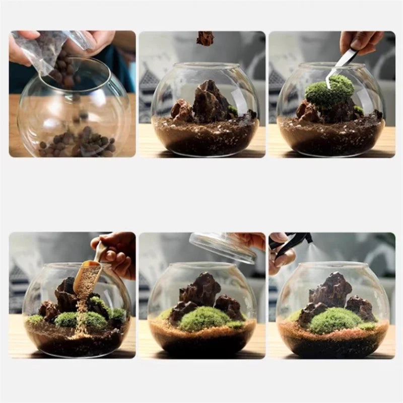 DecorBites™ Moss Ball Glass Vase for Desktop Decor