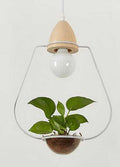 DecorBites™ Pot Pendant Planter Light
