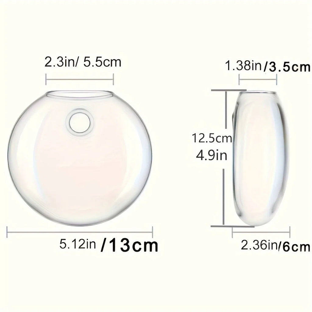 DecorBites™ Self-Watering Glass Terrarium Set for Home Décor