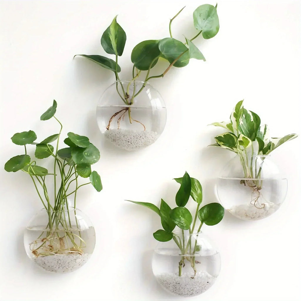 DecorBites™ Self-Watering Glass Terrarium Set for Home Décor