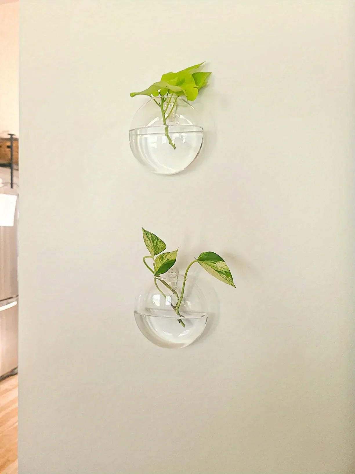 DecorBites™ Self-Watering Glass Terrarium Set for Home Décor
